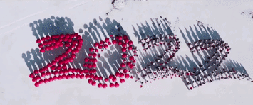 e99d1fd393faac733938a2239895a9ec.gif