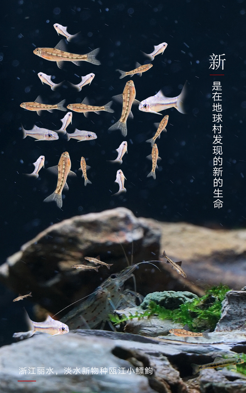 800a821a4ca64d64895a7dc09892d286.png