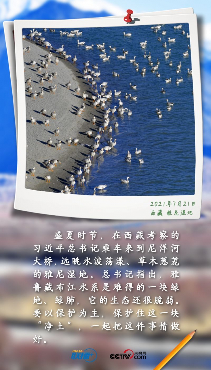 5d88fddef89a867252b423adc3c81e09.jpeg