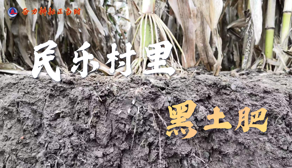 8358ac1edf351fc09b6b932b4838ca3c.png