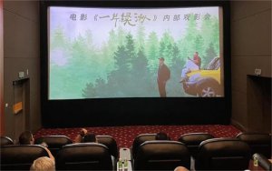 电影《一片绿洲》内部观影评审会召开