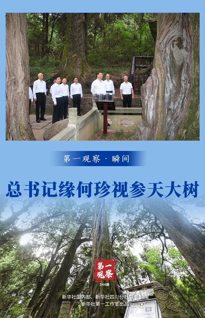 ea8a6839fd8ce22eecbd0357ccb317b7.png