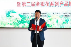 渭南市合阳县王村镇举办第二届金银花系列产品推介会