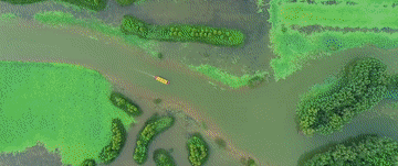 1129884450_16956395930001n.gif