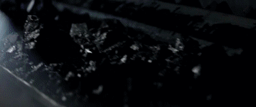 1129884450_16956395930041n.gif