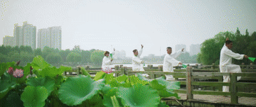 1129884450_16956395930061n.gif