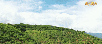 4a43b08524b9ebe98b580ffb33bc878e.gif