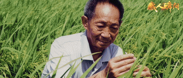 d515cddd1c78ec786cd0a0876ce27cfe.gif