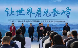 翴롱2023-2024ϵлʽ