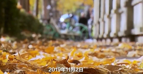 ΢Žͼ_20231103203515.png
