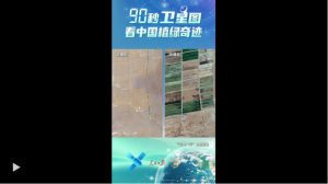 90ͼйֲ漣