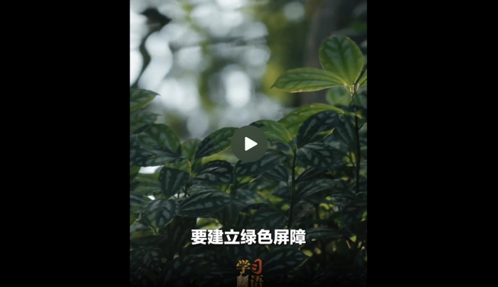WeChat513511cf4668e7ba9b3d4c62a3f8f54f.jpg