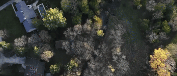 ab069ede88136ee9565005ceb424264c.gif