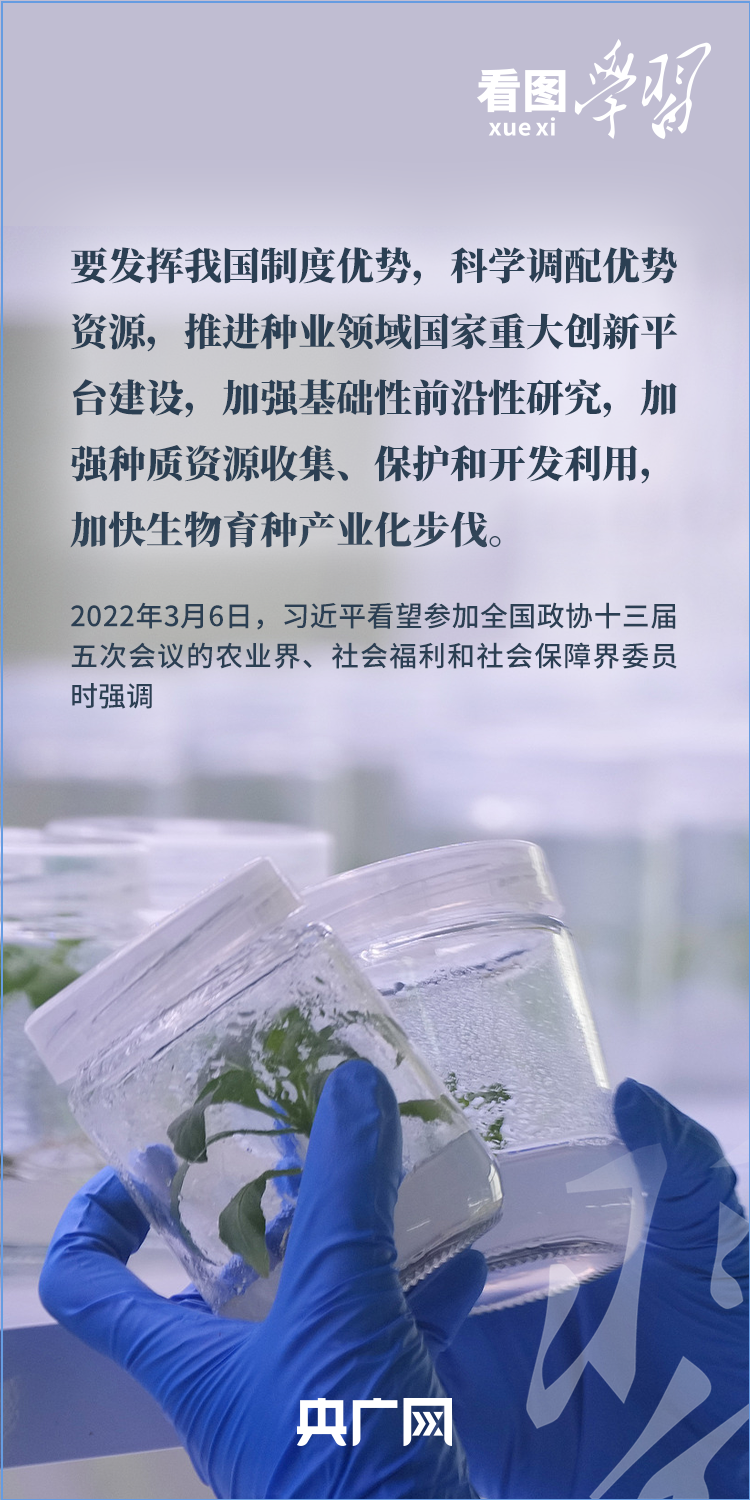 5d8952faa762def407c4eacd67c3726f.png