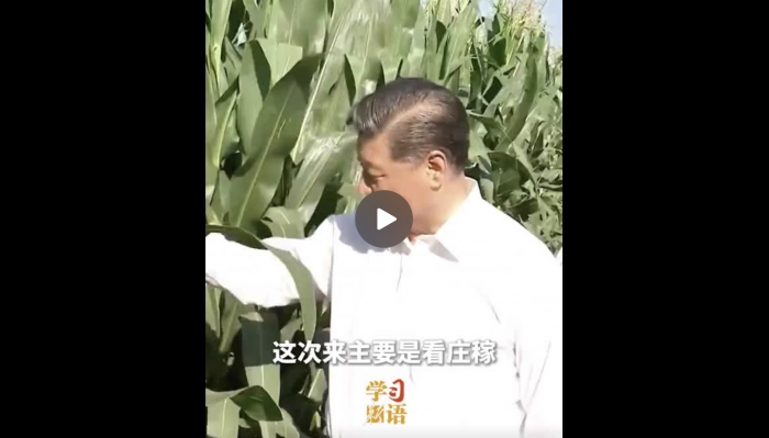 WeChatb6ecabf1034e46c8e69ff8c66af4e987.jpg