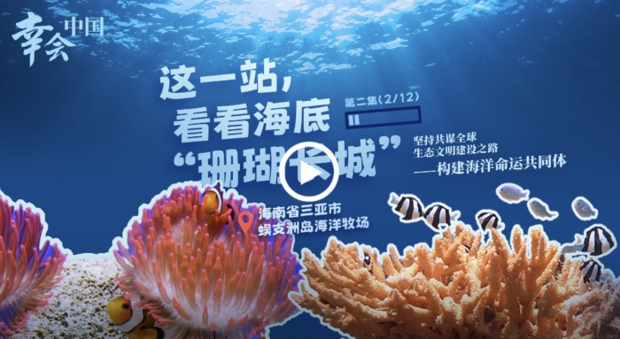WeChat878f3d0d671850688d77a57f7c4c5541.jpg
