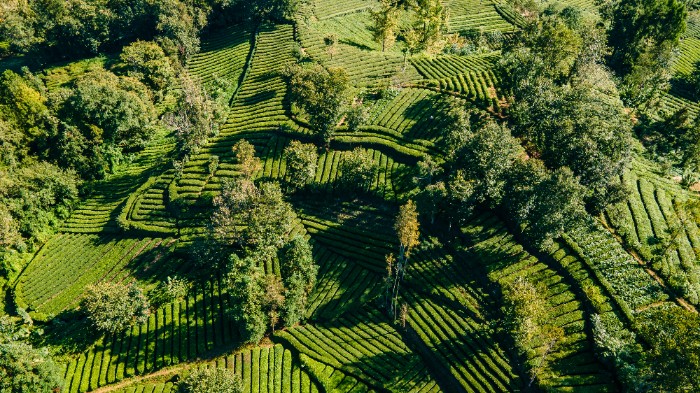 DJI_0128.jpg