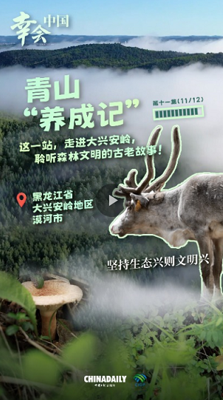 1761623206801682.png image.png