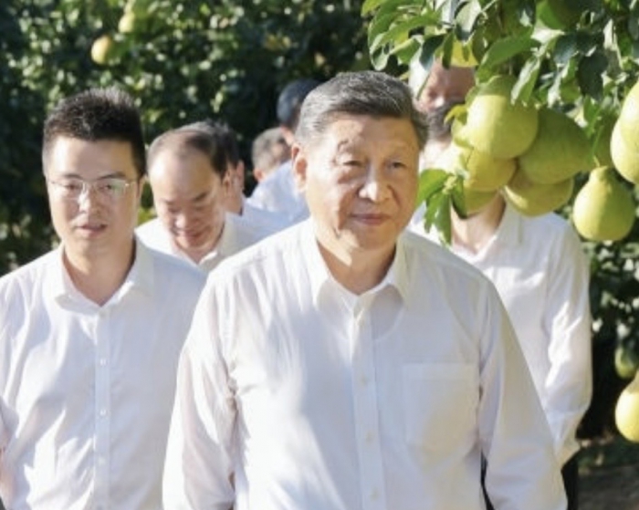 1762659839831804.jpeg IMG_0712.jpeg