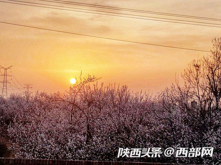 �����������ح��������Ķ�ӻ���������������