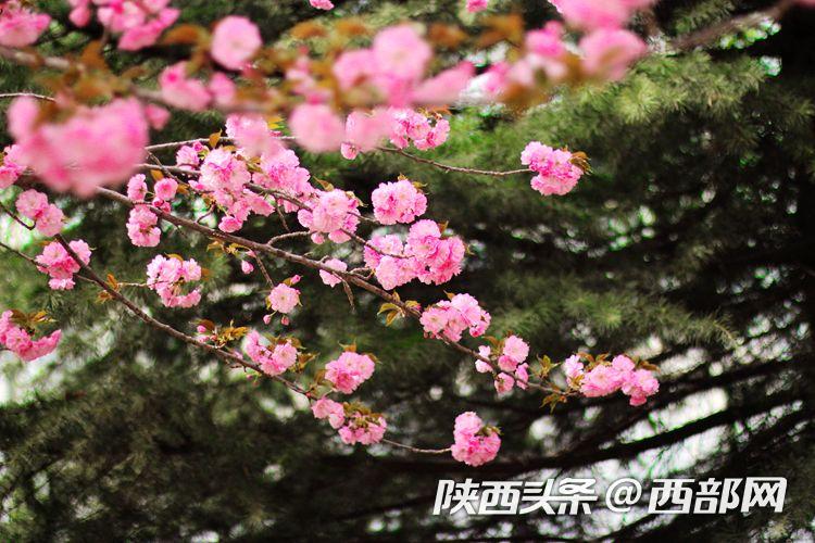 �����������حμ��ʦ��ѧԺ��������� ����ʢ��