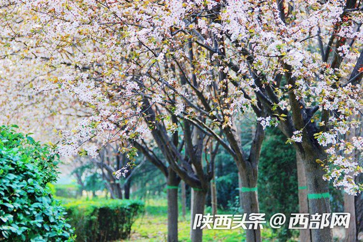 �����������ح�����Ƽ���ѧ�����ʶ��������⣬�߷ִ�ɫ����԰