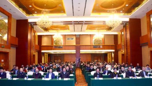 <b>�����������������19�����׷���</b>