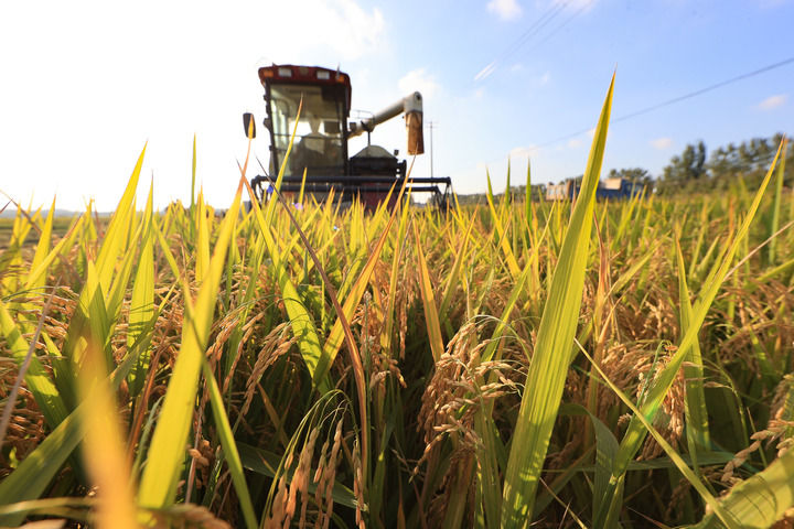 ˼֮֮ܽ·ϰƽͬ־Ϊĵĵйչ¾