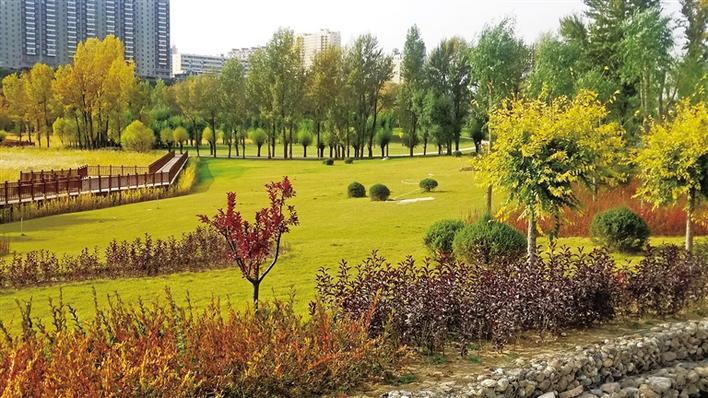 ��ɽ����װ ʪ������衪���ƺ������±�����̬�����͸�������չ����