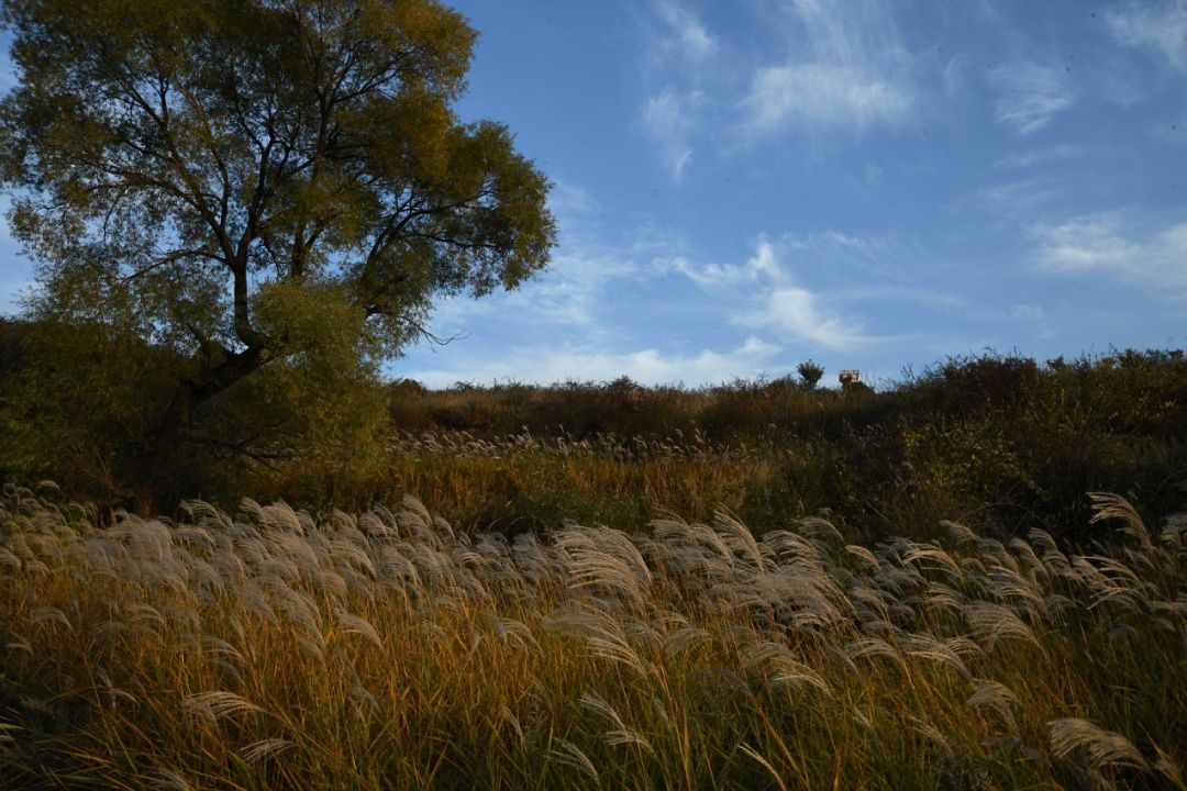 ���Ӿ�������������ĺ���