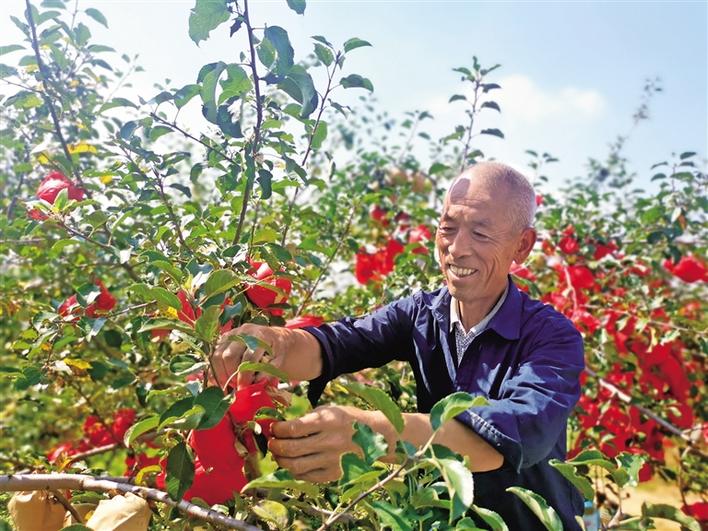 ��Ⱥ�ڹ��Ϻ����ӡ���ͭ����ˮ��ְ�����̴���ƶС��