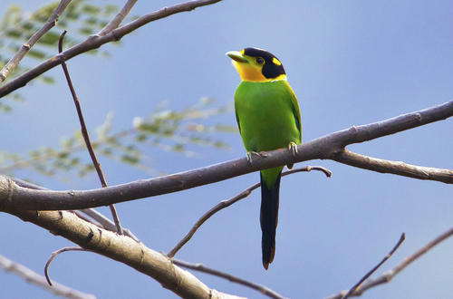 ����ΰҰ��������Ӱչ����Ļ