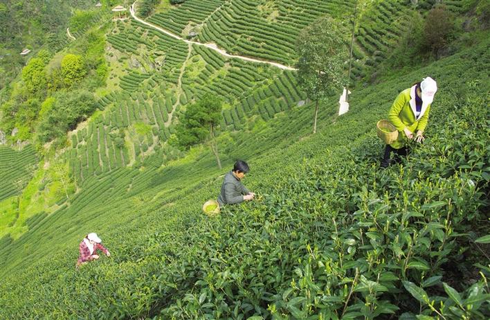 �����в�ҵ Ⱥ�ڵ�ʵ�ݡ��������к�������չ׳��弯�徭�ü�ʵ