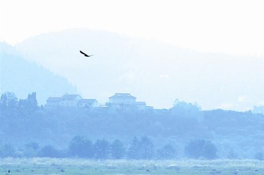 ����δ��3��������� ��Ҫ����