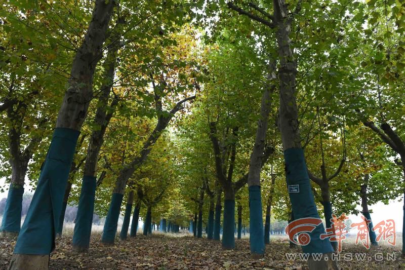 ������������߿�ͨ�ڼ� ���걻���ߵ���ͩҲ��Ҫ�ؼ���