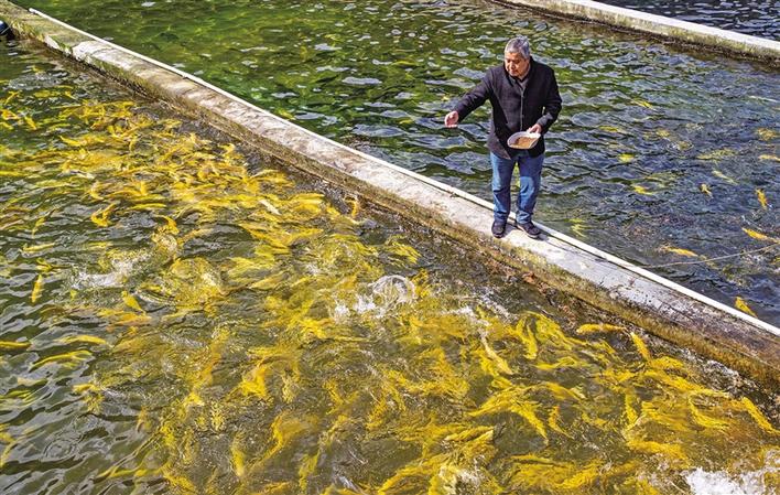 ��ˮ���� ζ����̬��