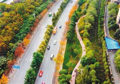 �����������н�ͨ������ʱ�� �����̵�������к÷羰