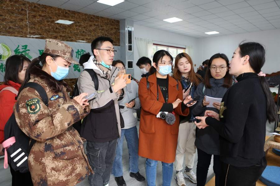 ����ʤ2020��������������