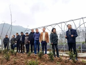 �����������ȶಿ�ŵ�Ա�߽������忪չ���⵳�ջ