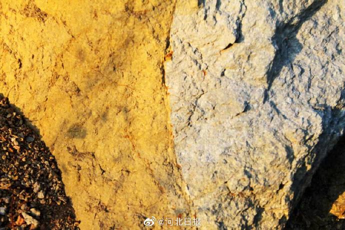 ����������AR��VR�����Դ���ַ��������չʾ