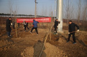 ����������ˮ�����֯��չ�ﶬ��ֲ������