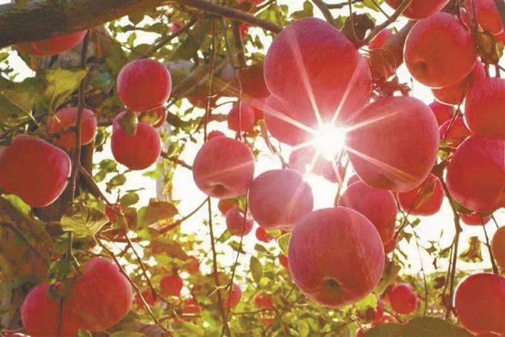 ����ƻ��ӳɽ�� �ɾͰ����¸�·