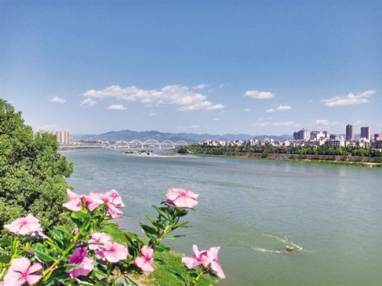 ˮ���������ﳤ ����2020��ȫʡ����ˮ�����ȹ�����ʵ