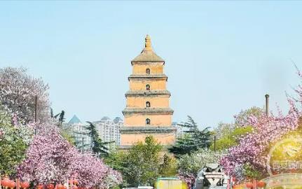 ���t�����������£��������������������