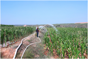 ������ľ��ȫ�����ÿ�����������