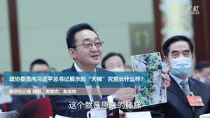 ȫ�������ȫ����������������