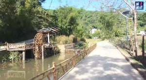 ��1�ӵ���������黰����