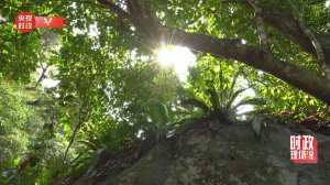 ʱ���ֳ�˵ح�ػ���̬ ������ɽ