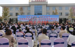 2025ꡰйũսڡףƽ