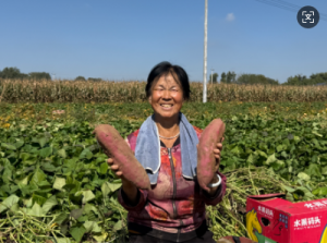 ũҵա2025йũսڲ